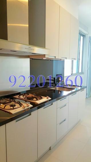 Grange Infinite (D9), Condominium #136324702